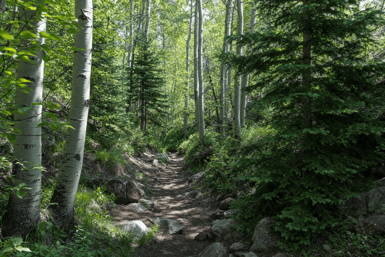 Living in Strathcona Park, Calgary: An Honest Guide