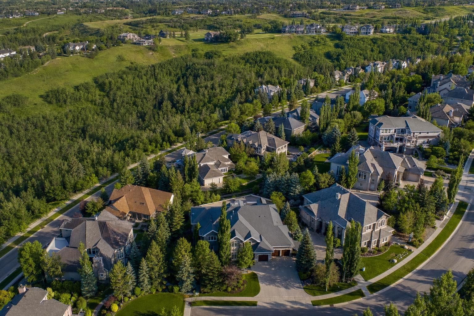 Aerial view of Strathcona Park neighbourhood